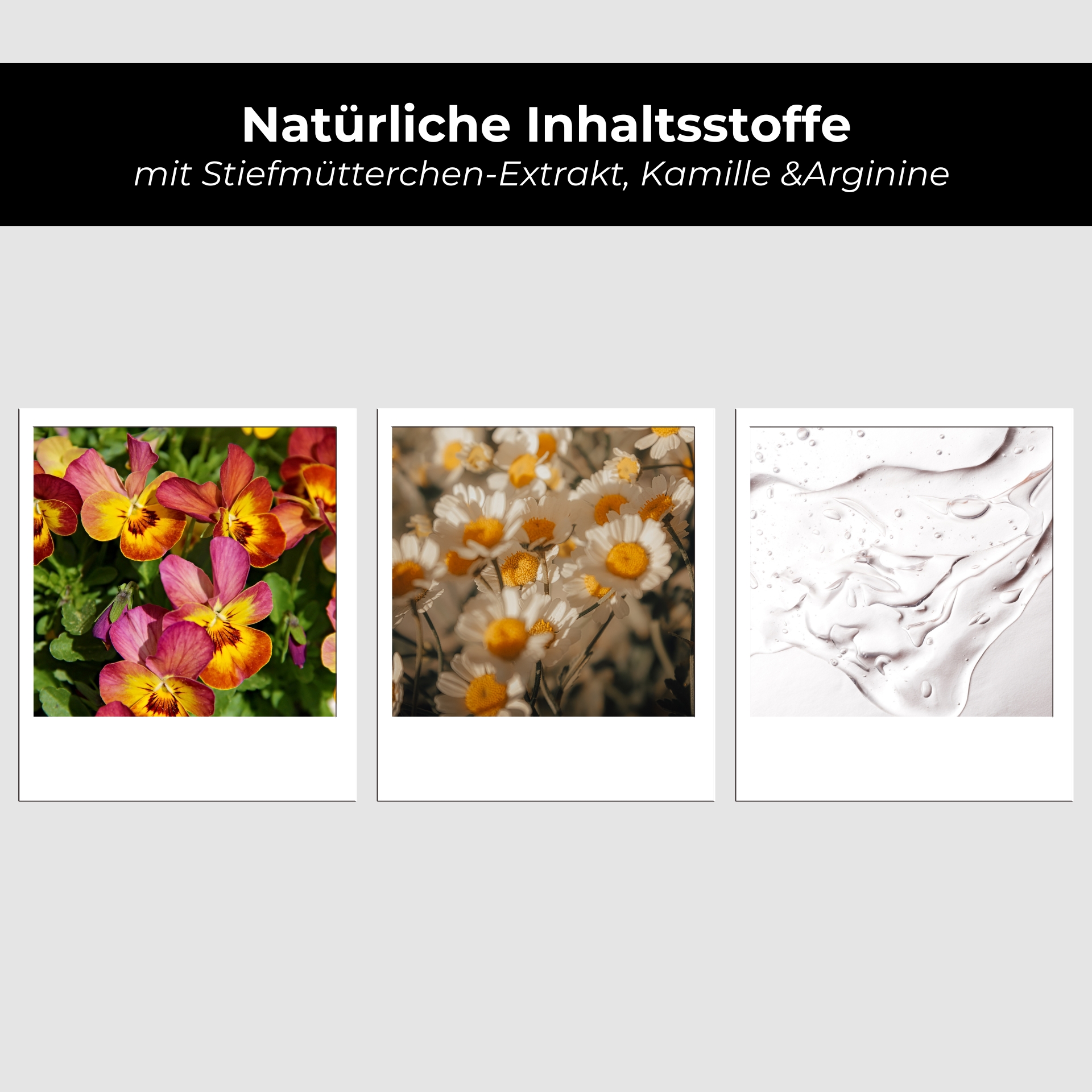 アルコール入りピュリファイング・トニック 200ml 不純物の多い肌用 Blume, Blütenblatt, Anemone, Gänseblümchen, Collage