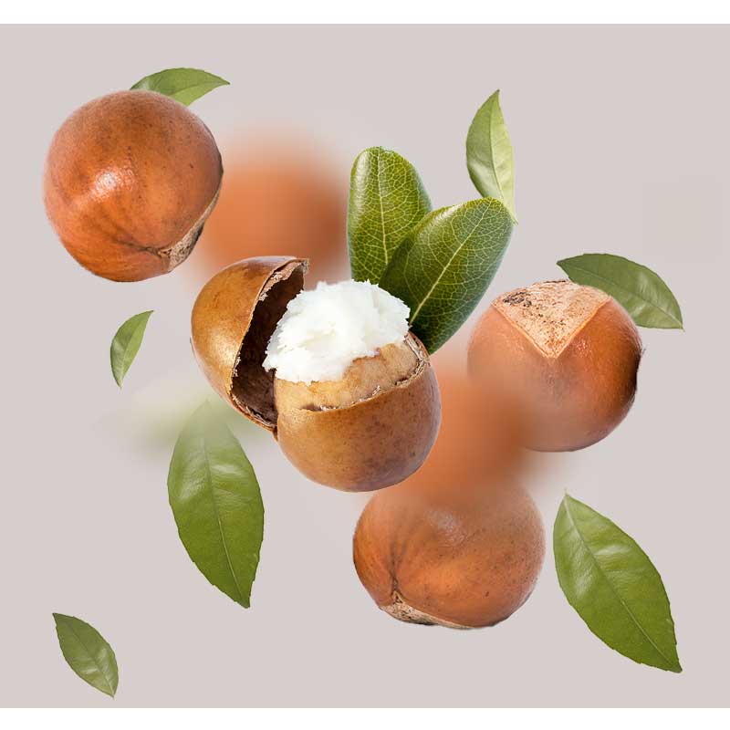 sheabutter_(1) sheabutter_(1)