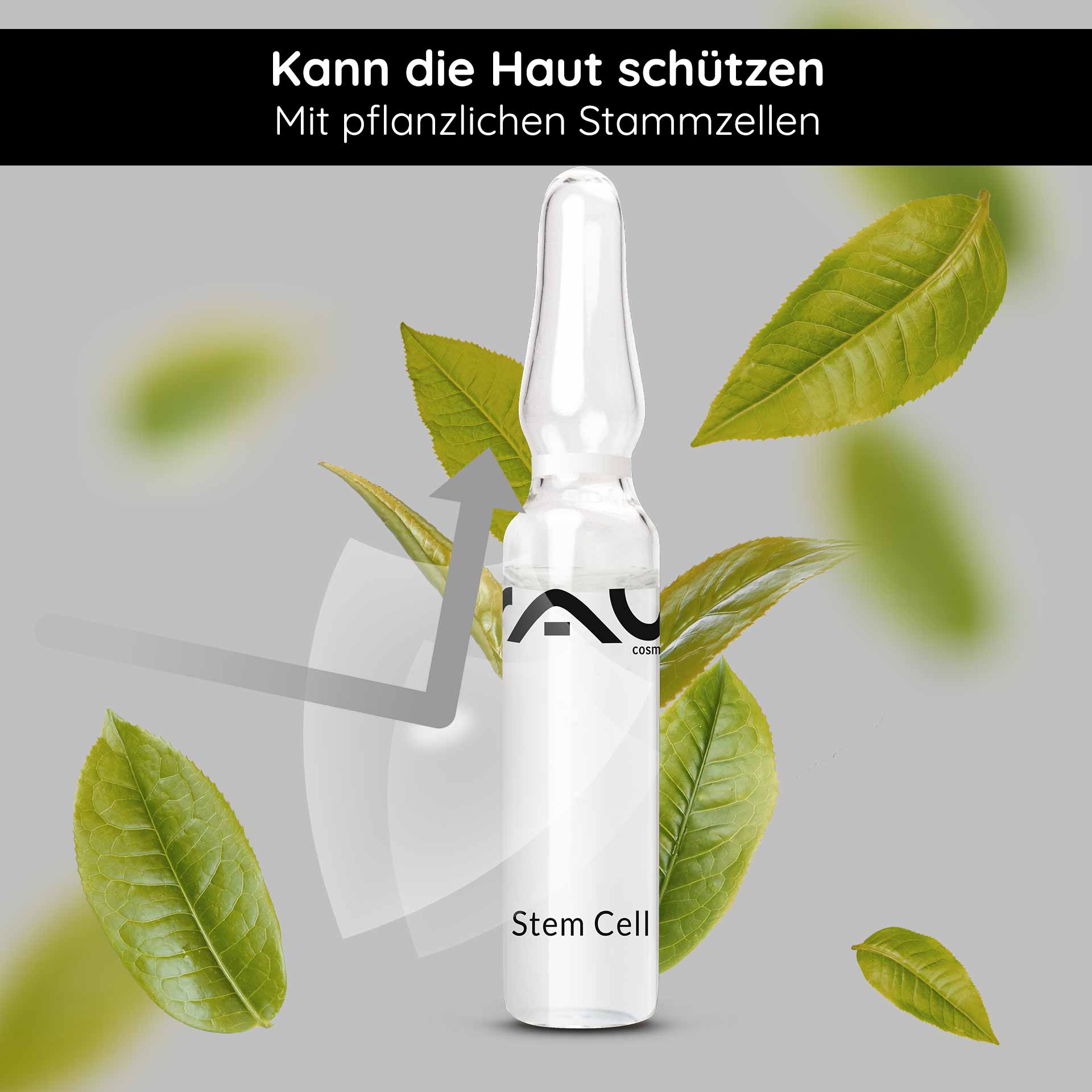 幹細胞アンプル 10x2ml 熟年肌のためのアンチエイジング Ampulle von RAU Cosmetics mit der Aufschrift "Stem Cell", umgeben von grünen Blättern, betont die pflanzlichen Stammzellen für Hautschutz und -pflege.