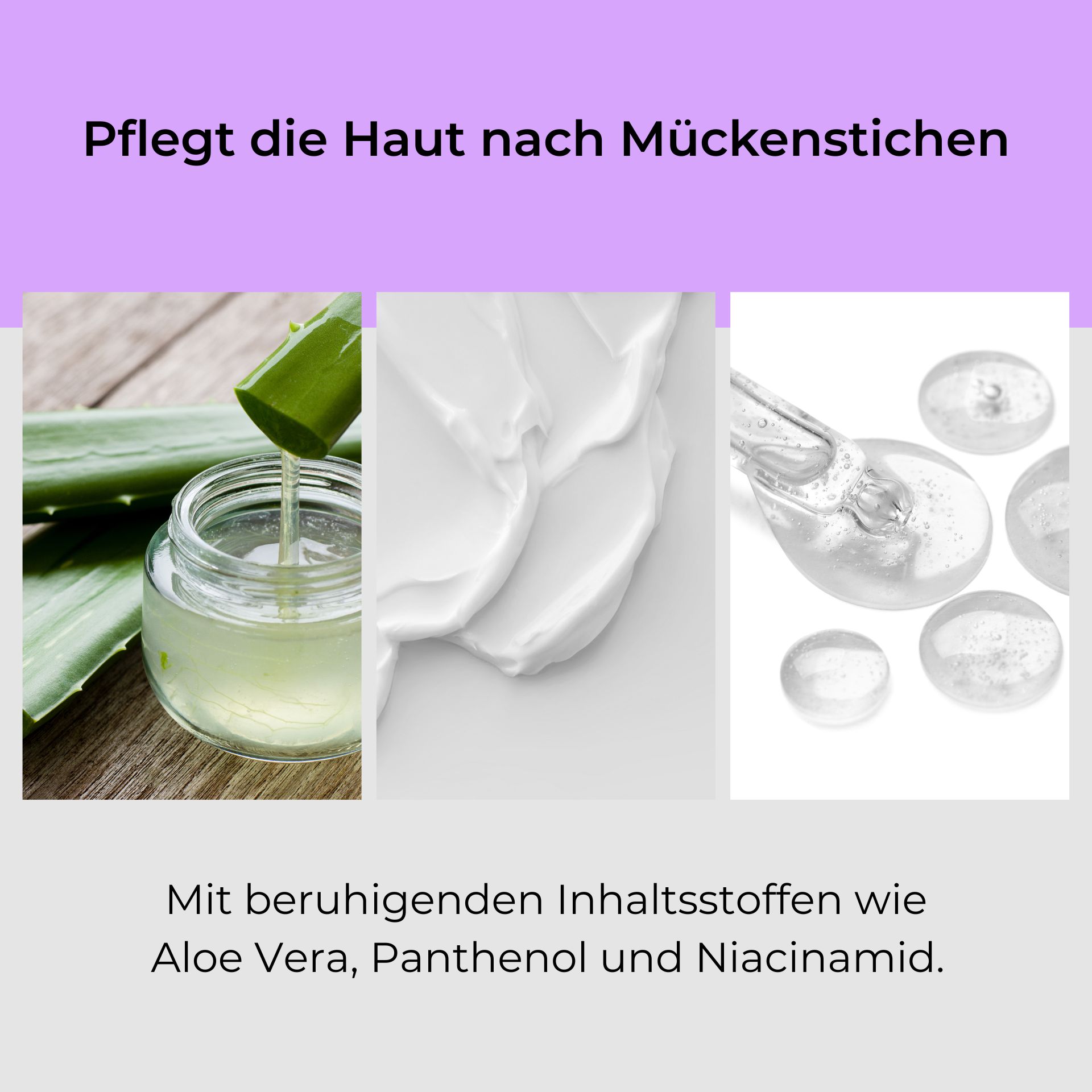 After Bite Mosquito Roll-On 10 ml - Natürlich wirksame Mückenstich Pflege Pflege für die Haut nach Mückenstichen mit Aloe Vera, Panthenol und Niacinamid, dargestellt durch frische Aloe Vera Blätter, eine Creme und transparente Gelkapseln.