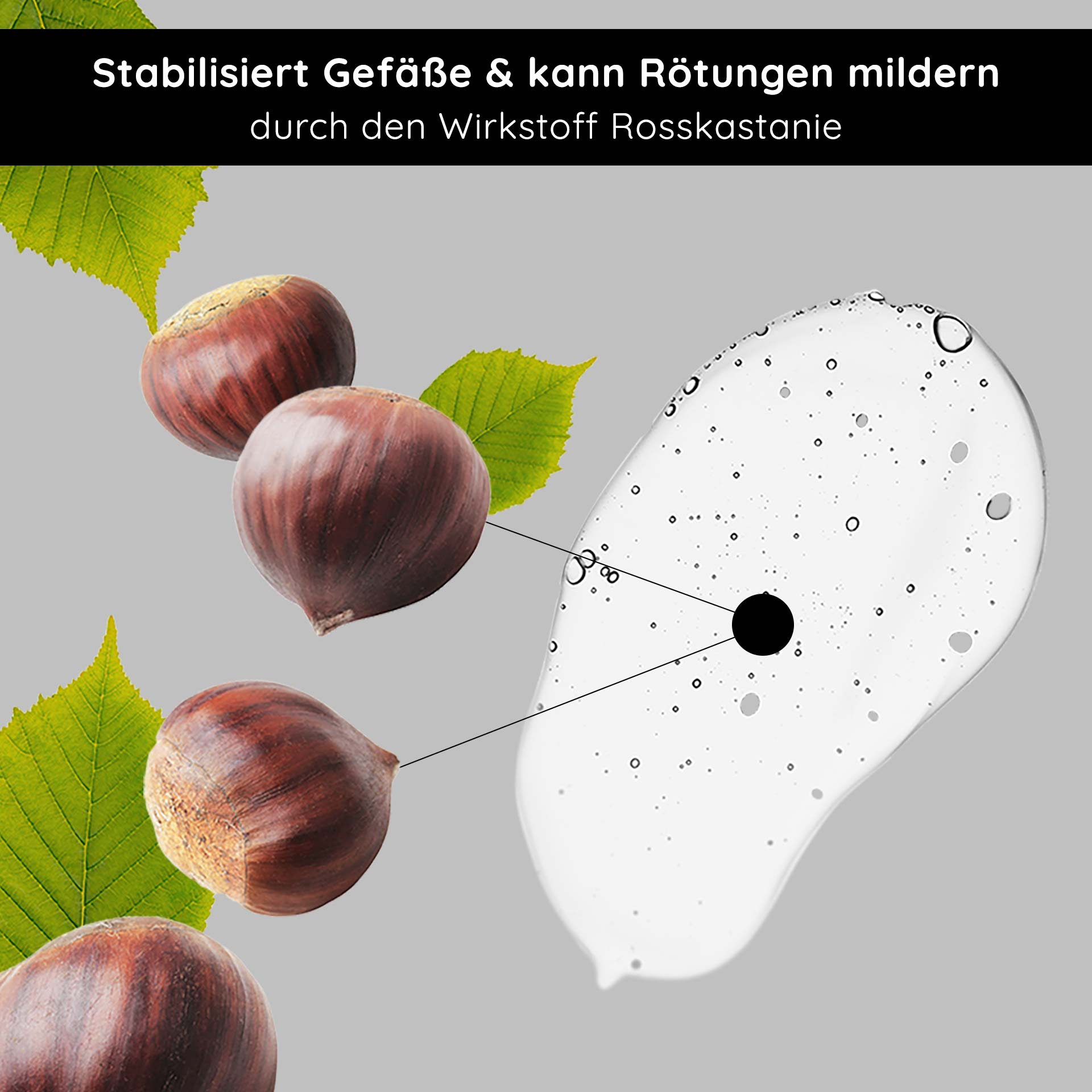 赤ら顔用クーペローズセラム 200ml Anti-Redness Couperose Serum mit Rosskastanienextrakt, stabilisiert die Gefäße und reduziert Rötungen, mit sichtbaren Kastanien und grünen Blättern vor neutralem Hintergrund.