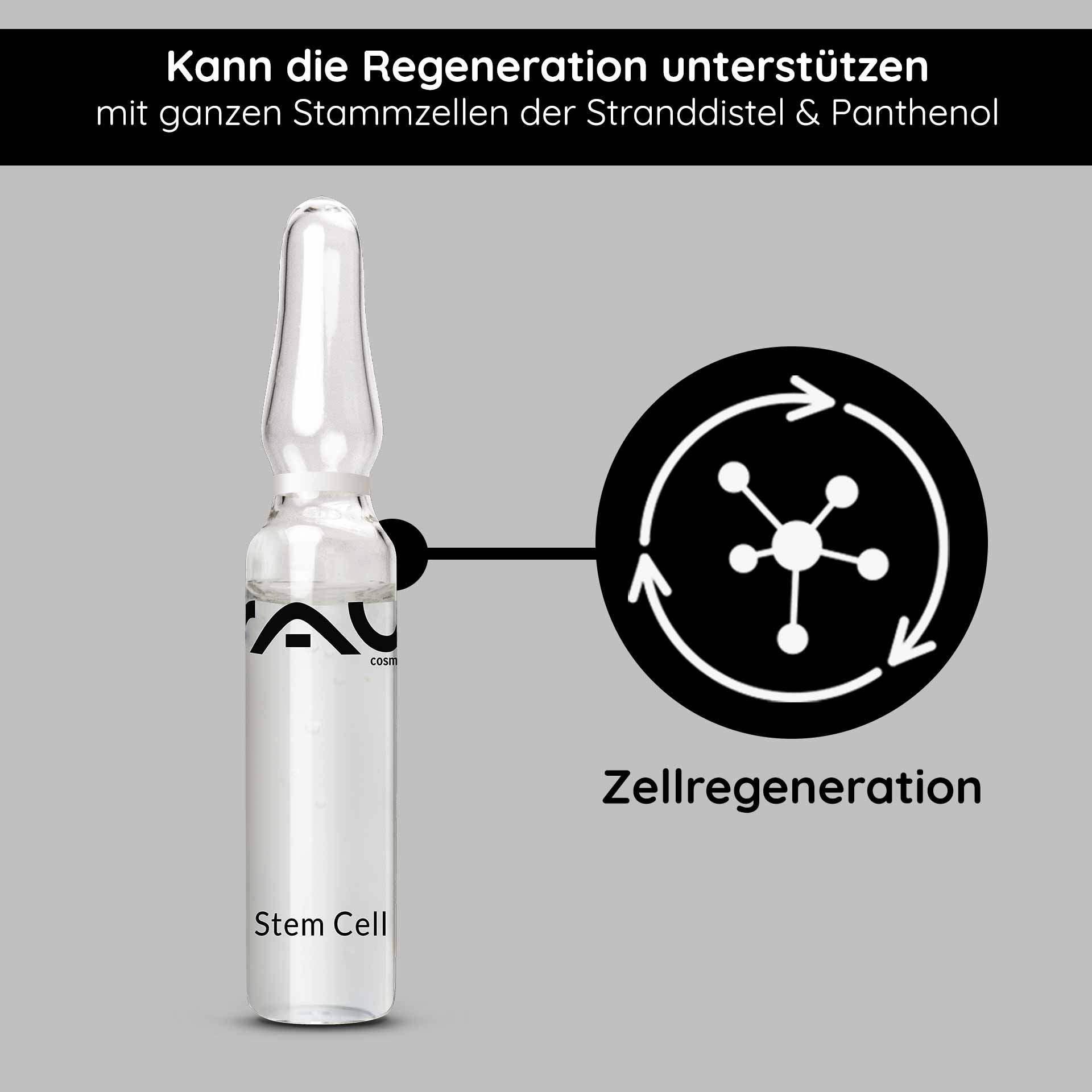 幹細胞アンプル 10x2ml 熟年肌のためのアンチエイジング Ampulle mit RAU Stem Cell Serum, transparent, beschriftet mit "Stem Cell", unterstützt Zellregeneration, enthält ganze Stammzellen der Stranddistel und Panthenol, auf grauem Hintergrund.