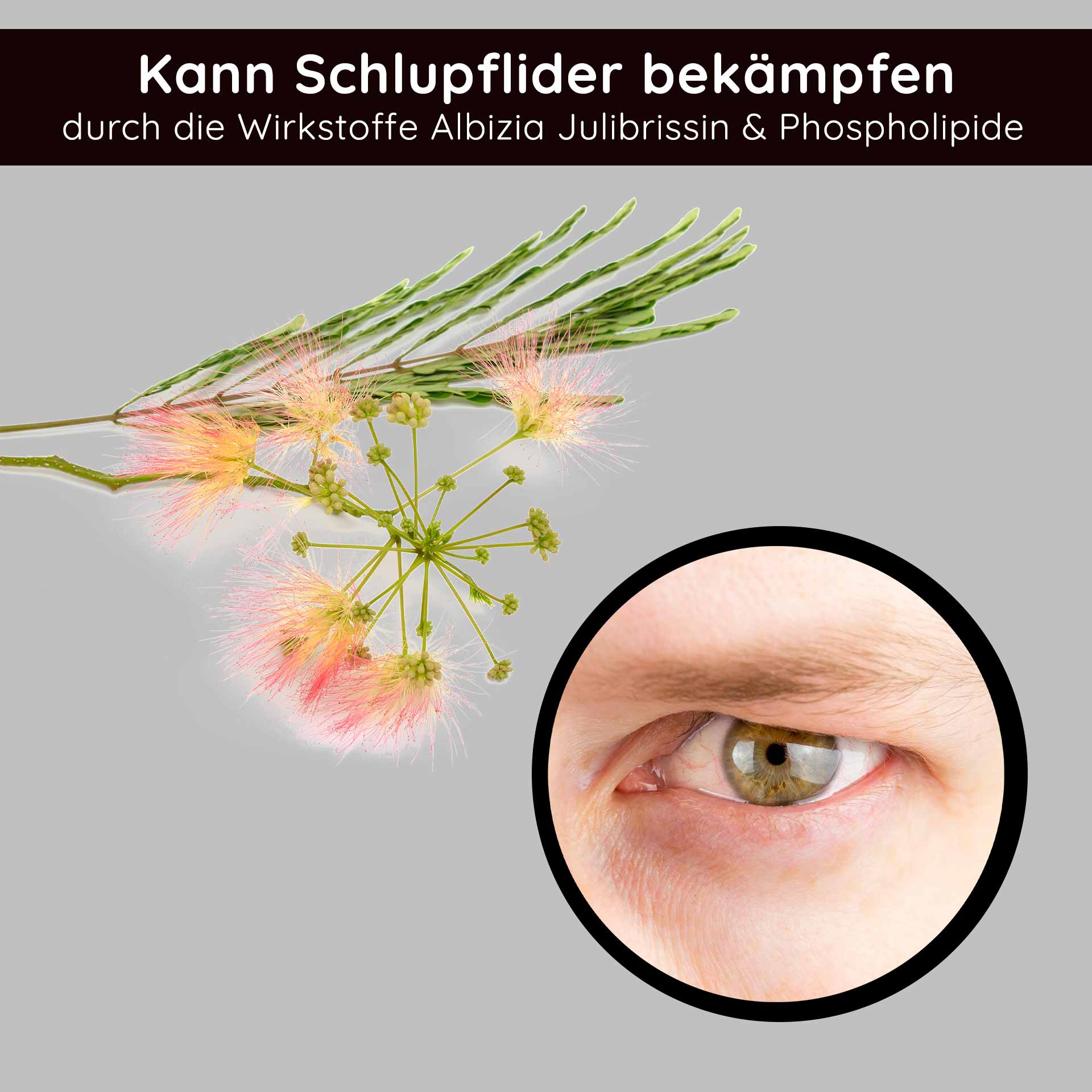 アイクリーム 15ml アンチエイジング アイクリーム RAU Cosmetics Stem Cell Eye Cream – luxuriöse Augencreme mit pflanzlichen Stammzellen aus Traube, Alpenrose und Schweizer Apfel. Abbildung des Produkts in einem eleganten Tiegel mit silbernem Deckel.