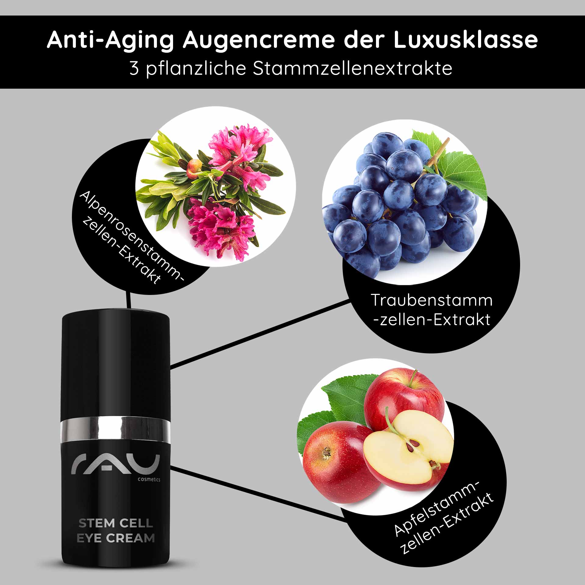 アイクリーム 15ml アンチエイジング アイクリーム Anti-Aging Augencreme von RAU Cosmetics mit pflanzlichen Stammzellenextrakten aus Alpenrose, Traube und Apfel, präsentiert in eleganter Verpackung.